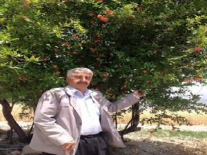 Traktörün Altında Kalan Şahıs Hayatını Kaybetti