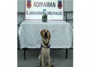 Adıyaman'da Zehir Tacirlerine Darbe