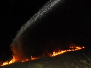Adıyaman'da 70 Hektar Alan Kül Oldu