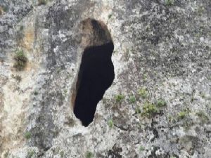 Madde Bağımlıları İş Başında