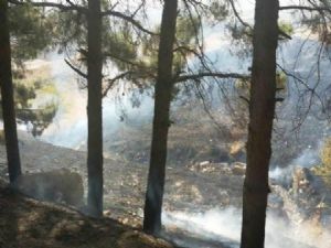 Adıyaman Karadağ Ormanlık Alanda Yangın