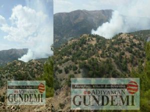 Çatışma Sonrası Ormanlık Alanda Yangın Çıktı