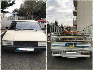 Adıyamanda Hayvan Hırsızları Yakalandı