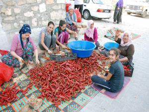 Besnililerin Salçalık Biber Telaşı
