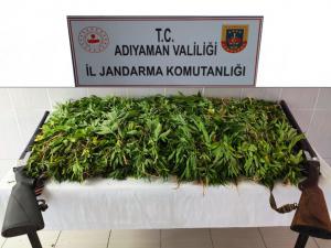 Besnide fıstık tarlasında kenevir ve tüfek ele geçirildi