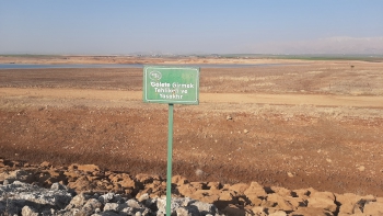 Adıyaman'da Kuraklığın korkutucu görüntüsü