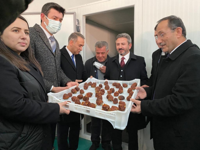 MSK Başkanı Aydın; Günlük 1,5 Ton Hurma Kurutulup Tüketiciye Ulaştırılacak