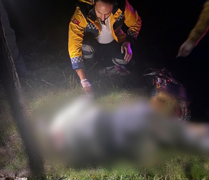 Tır'ın arızasını giderirken başka bir aracın çarpması sonucu hayatını kaybetti