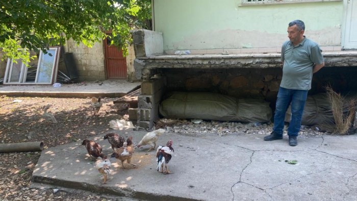 Üzerindeki hilal simgesiyle görenleri şaşırtıyor