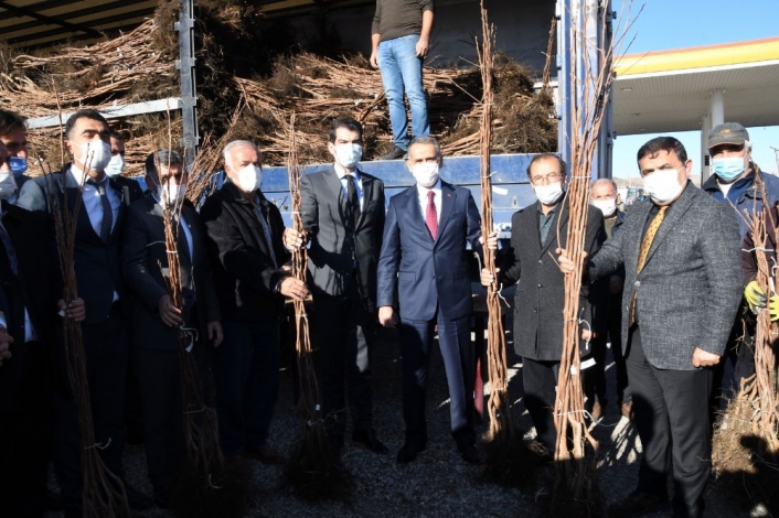 Gölbaşı´nda çiftçilere hurma fidanı