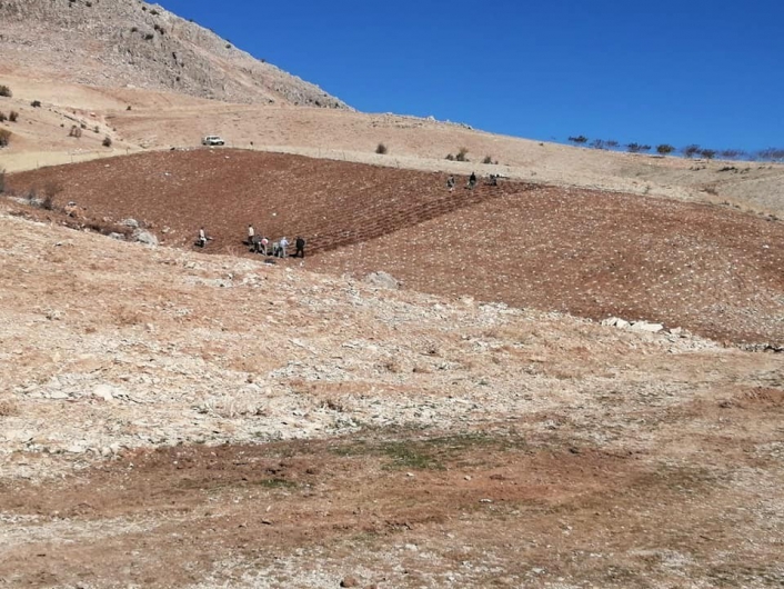Tut ilçesi lavanta kokacak
