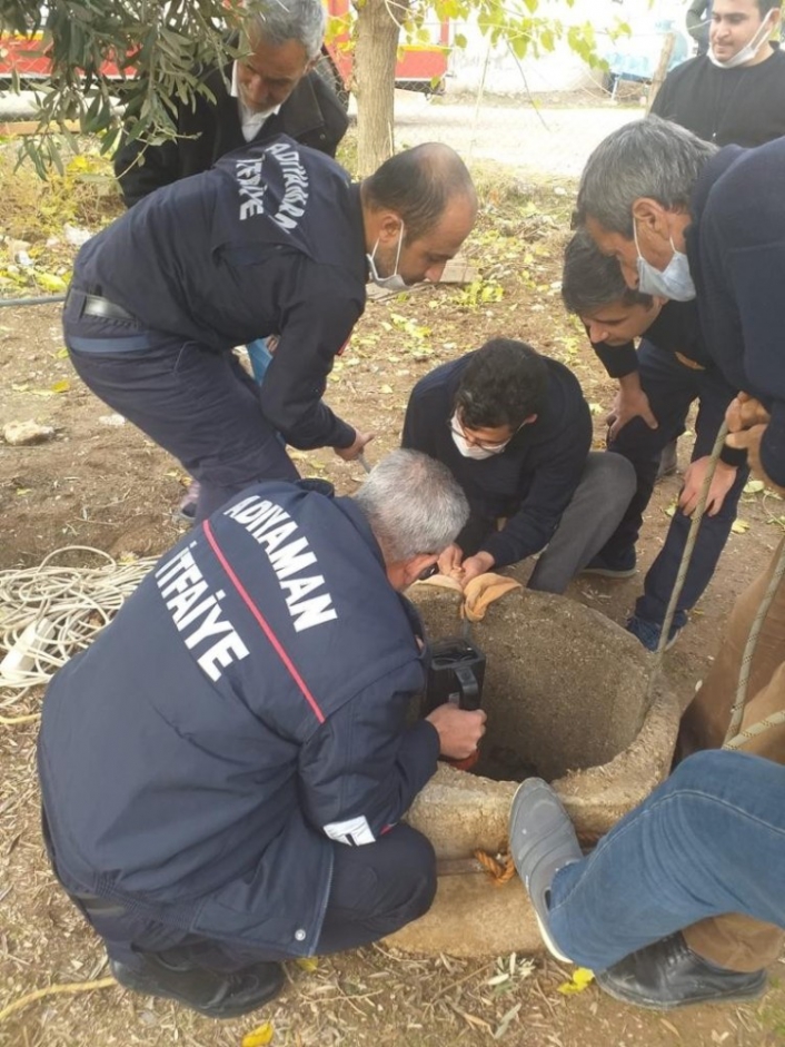 Su kuyusuna düşen keçi kurtarıldı