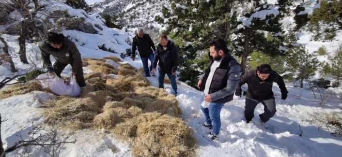 Yaban hayvanları için doğaya yem bırakıldı