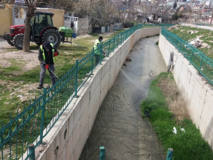 Besni´de haşere ile mücadele başladı