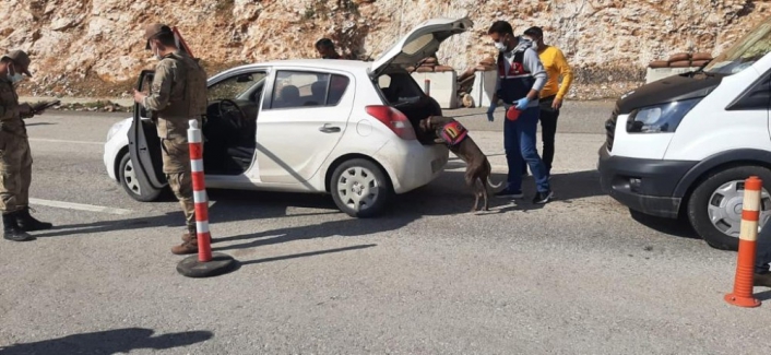 Adıyaman'da Jandarma ekiplerinden Sıkı Denetim