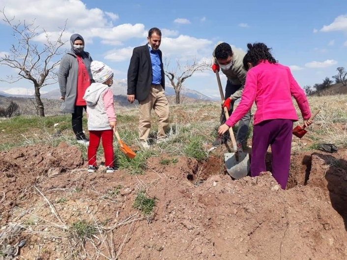 Köylüler kendi imkanlarıyla ağaç dikti