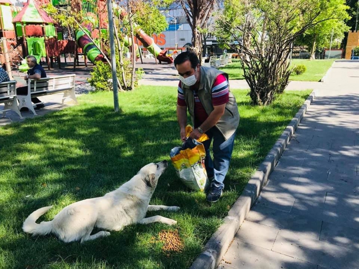 Sokak hayvanları kapanmada unutulmadı