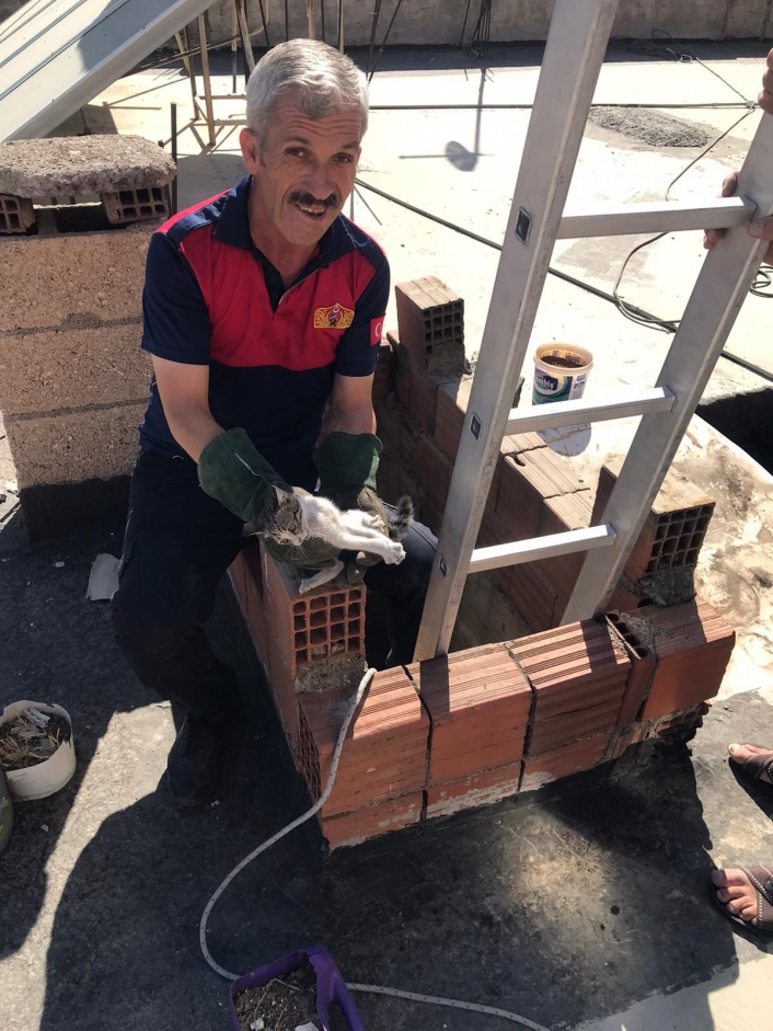 Havalandırmaya düşen kedi kurtarıldı