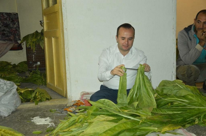 Kaymakam Arslantürk, tütün biçti, şişe sapladı
