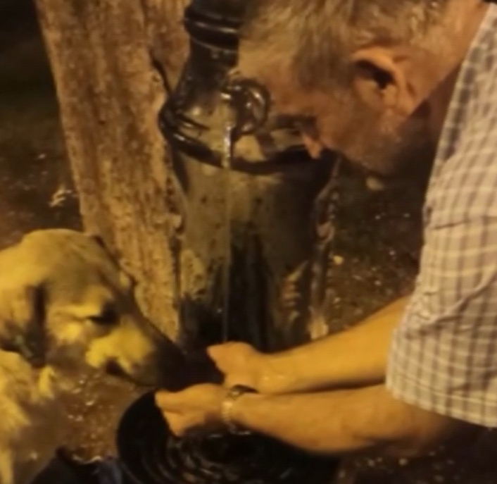 Susuz kalan köpeğin yardımına polis yetişti