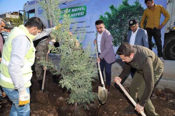 Kahta´da 2 bin 23 fidan dikildi