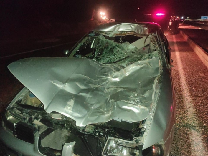 Adıyaman'da Otomobil 2 ata çarptı: 4 yaralı