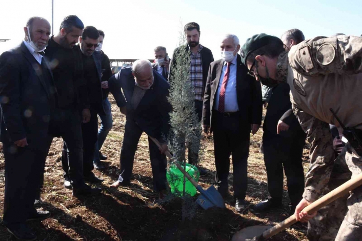 Şehit Fatih Doğan adına hatıra ormanı oluşturuldu