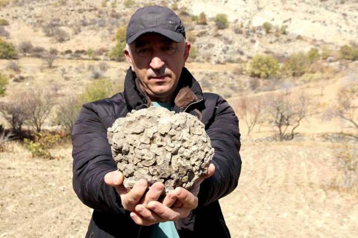Tut´ta 10 kilo ağırlığında 65 milyon yıllık deniz mercanı bulundu