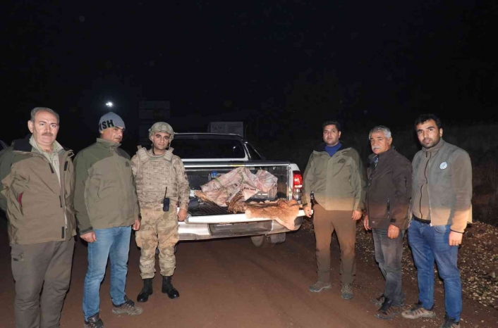 Yabani dağ keçisini vuran şahsa 63 bin TL ceza