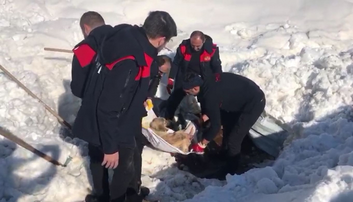 Enkazın altındaki köpek kurtarıldı