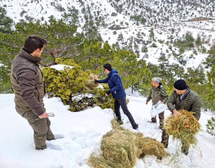 Gölbaşı´daki yaban hayvanlarına yem bırakıldı