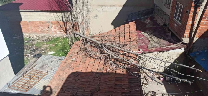 Adıyaman'da Kavak ağacı çatıya düştü