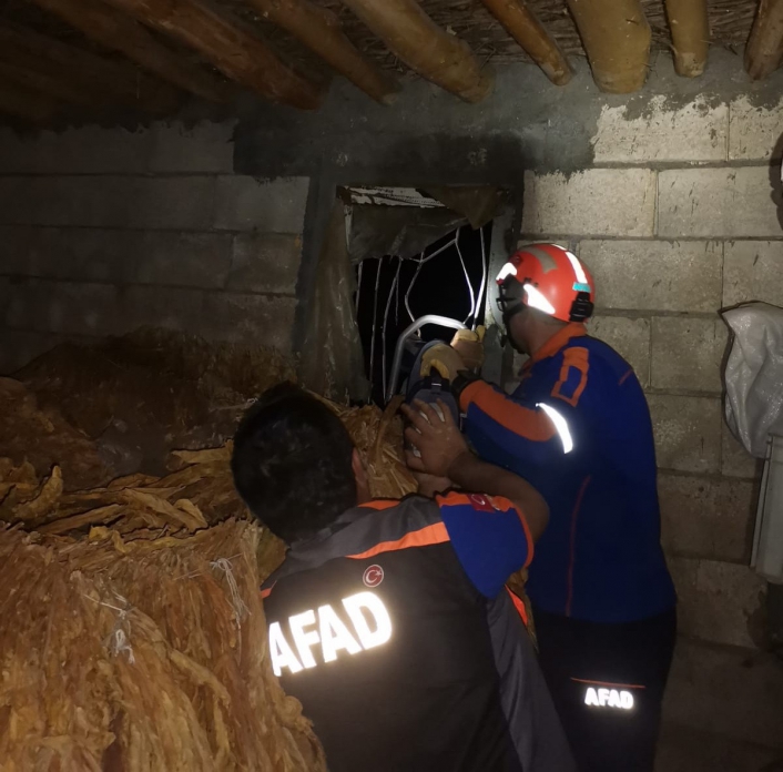 Pencere korkuluklarına sıkışan köpeği AFAD kurtardı
