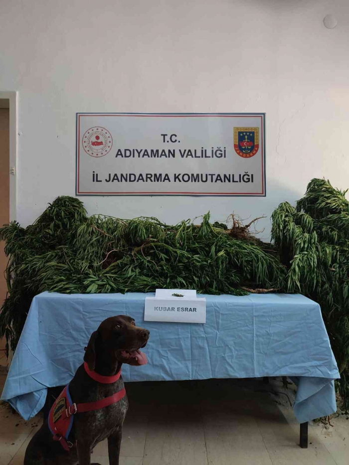 Adıyaman’da Zehir Tacirlerine Aman Verilmiyor