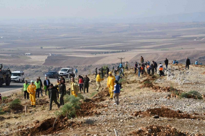 Adıyaman´da, fidanlar toprakla buluşturuldu