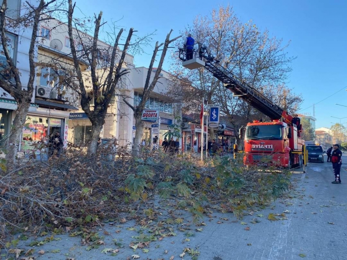 Gölbaşı´nda ağaçlar budanıyor