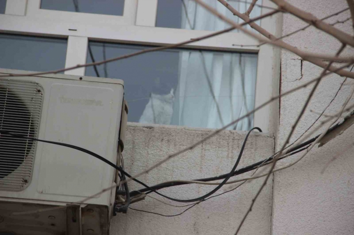 Hasarlı binada mahsur kalan kedi itfaiyeyi harekete geçirdi