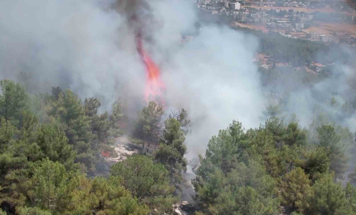 Adıyaman´daki orman yangını havadan görüntülendi