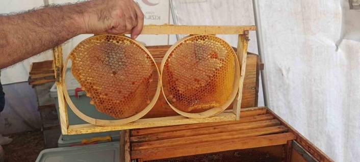 Adıyamanda bal sağımı yapılıyor