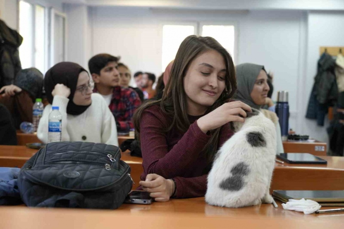Labne fakültede öğrencilerle derslere giriyor