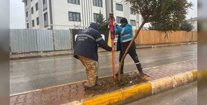 Yeşil alanlarda mevsimlik bakım ve güçlendirme seferberliği