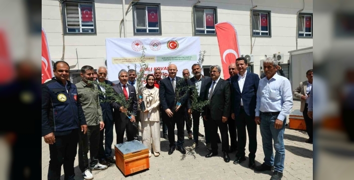 Adıyaman’da çiftçilere zeytin fidanı ve arılı kovan desteği