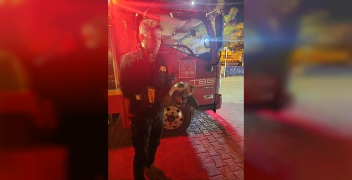 Motor kısmına sıkışan kedi için seferber oldular