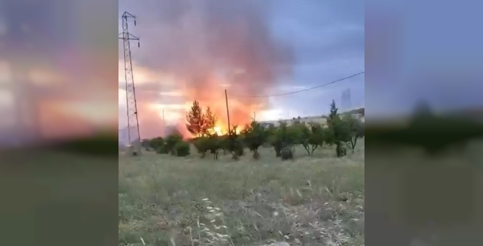 Elektrik direğinden çıktığı iddia edilen yangın buğday tarlasını küle çevirdi
