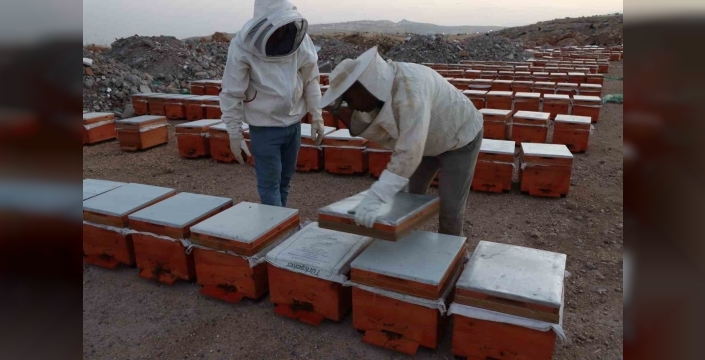 Adıyaman’da 2026 yılı bal fiyatları açıklandı