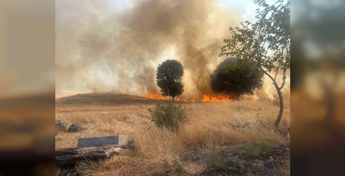 Trafo yangını ağaçlık alanı yok etti