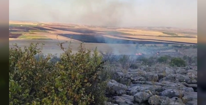 Besni’de ormanlık alanda çıkan yangın korkuttu