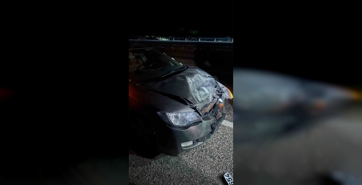 Karayolda aniden çıkan eşek kazaya neden oldu