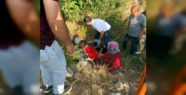 Ceviz ağacından düşen kişi yaralandı