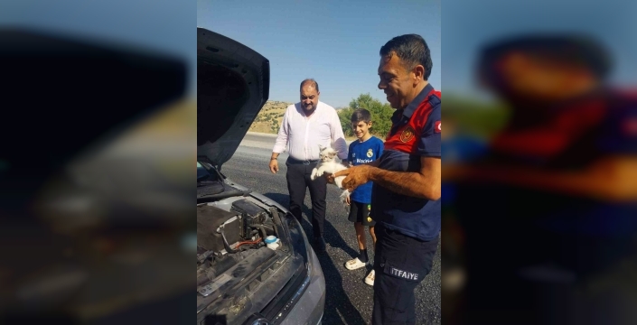 Otomobilin motoruna sıkışan kedi kurtarıldı